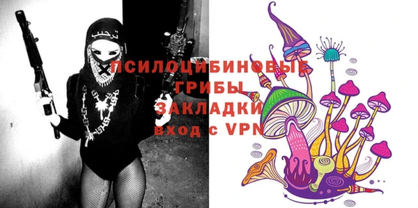 молекула духа Россошь